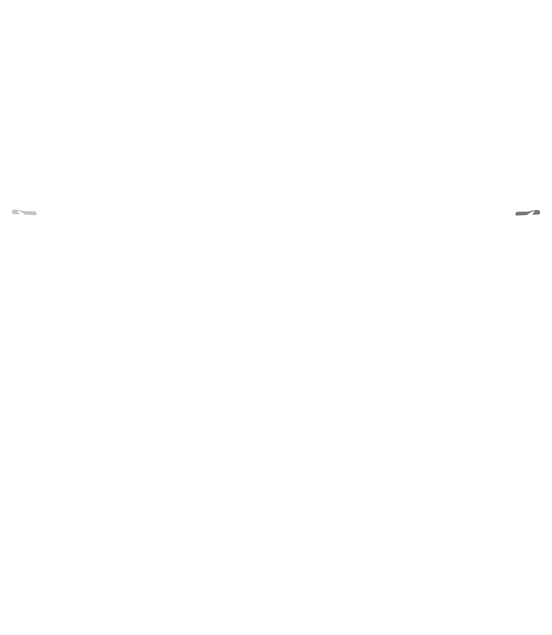 Hero Figure